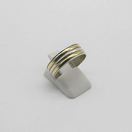 ALIANZA /PLATA Y ORO