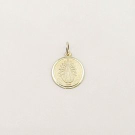 MEDALLA VIRGEN DE LUJAN 15MM /PLATA